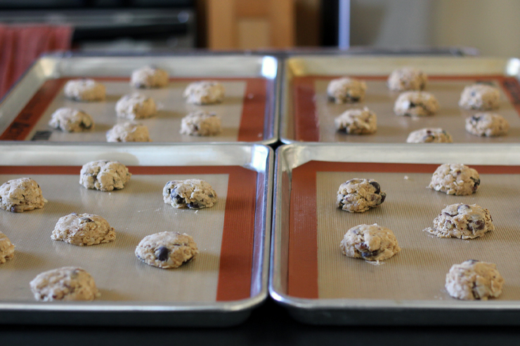 Pioneer Cookies PreBaked Pioneer Cookies PreBaked