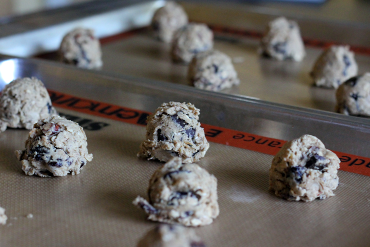 Oregon Trail Cookies Dough Balls Oregon Trail Cookies Dough Balls