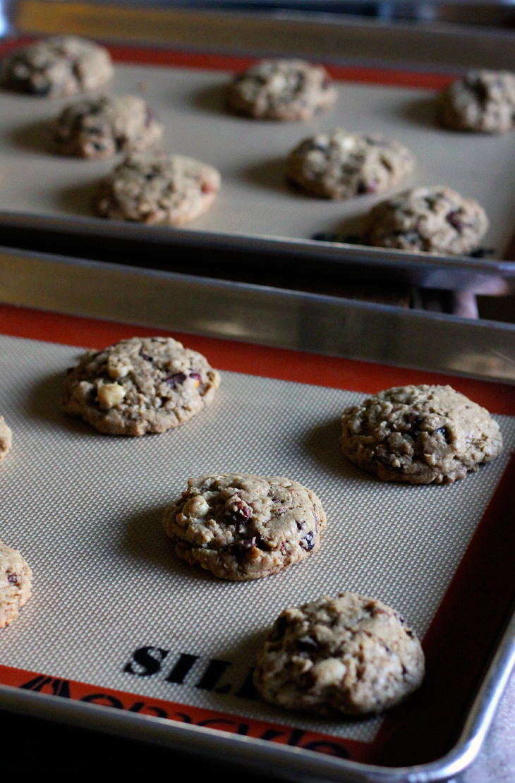 Oregon Trail Cookies Template Cool Down Oregon Trail Cookies Template Cool Down