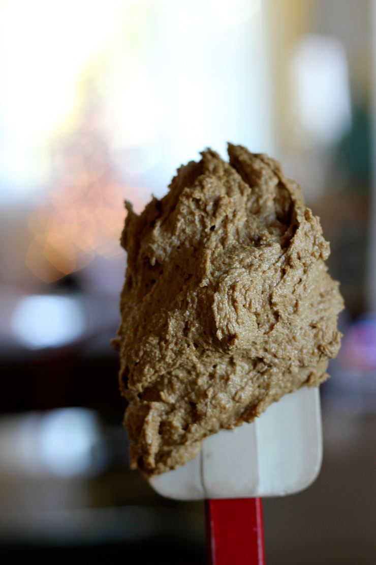 GingerMolassesDough The molasses gives the cookie dough a deep dark texture.