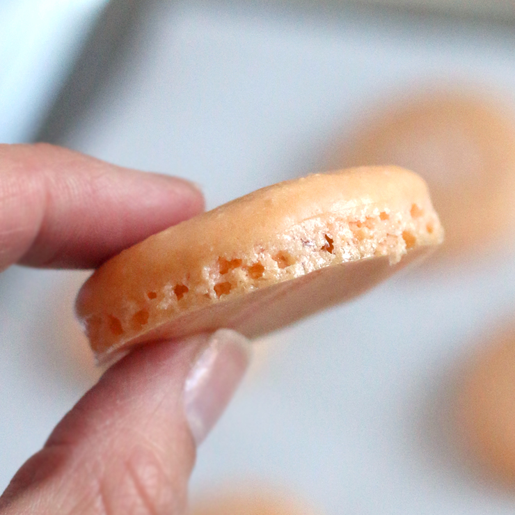Salted Grapefruit Macaron Foot Salted Grapefruit Macaron Foot