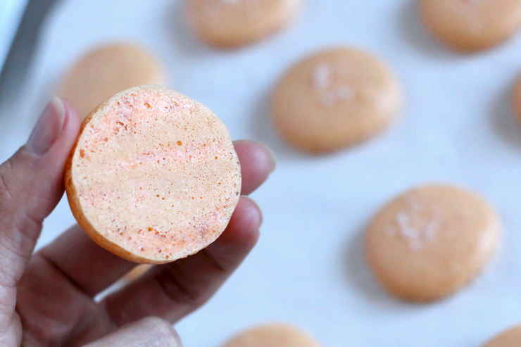 Salty Dog Macarons Shell Bottom Salty Dog Macarons Shell Bottom