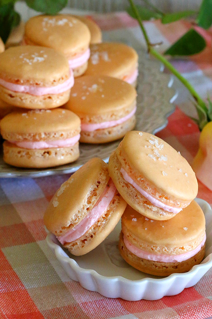 Salty Dog Macarons Tall Salty Dog Macarons Tall
