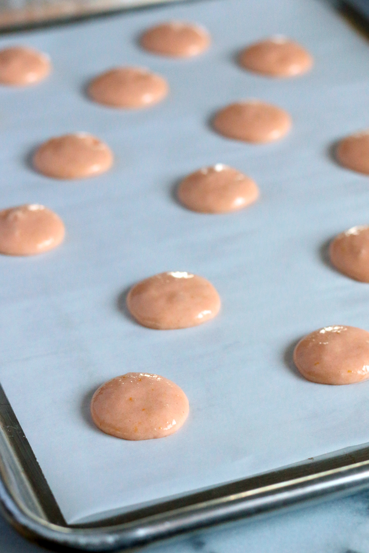 Salty Dog Macarons Rest Salty Dog Macarons Rest