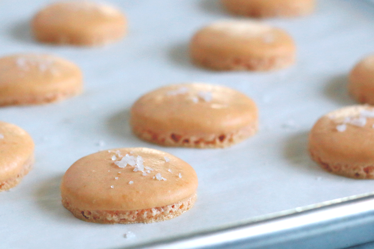 Salty Dog Macarons Baked CU
