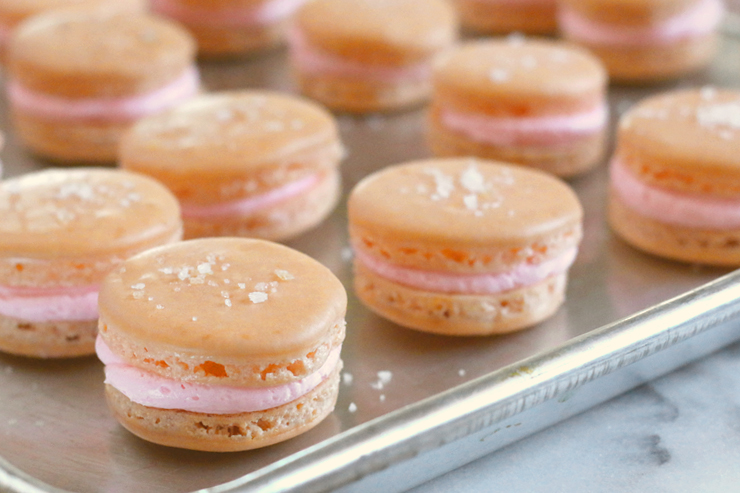 Salty Dog Macarons Setting Salty Dog Macarons Setting