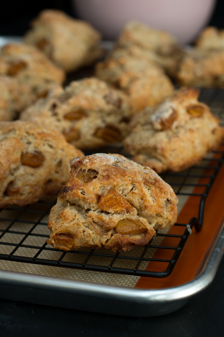 Persimmon Cinnamon Scones Baked Persimmon Cinnamon Scones Baked