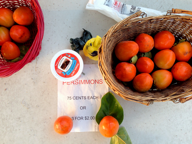 Persimmon Sale Persimmon Sale