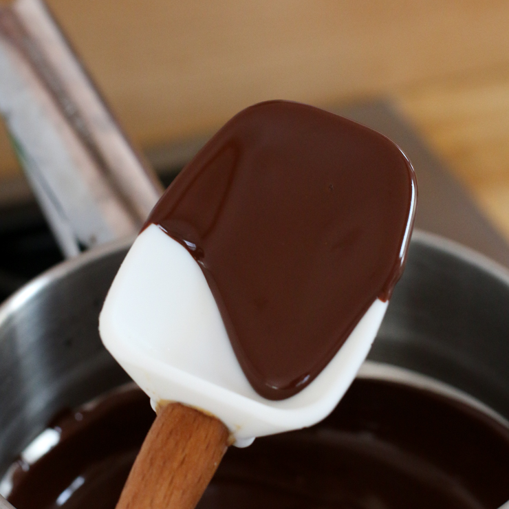 ChocolatePeanutButterPretzelPops-8