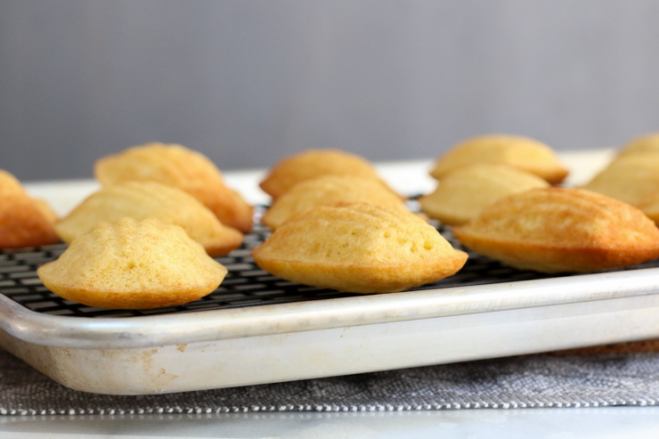 MarketSpiceMadeleines-17