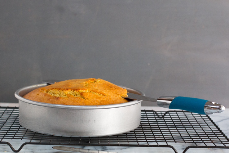 BloodOrangeOliveOilUpsideDownCake-12