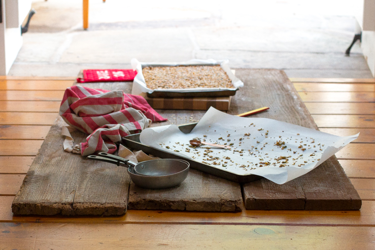 SeedyAdventureGranolaBars-18