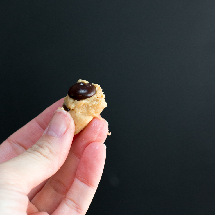 SaltyPeanutButterChocoloateChipCookies-21