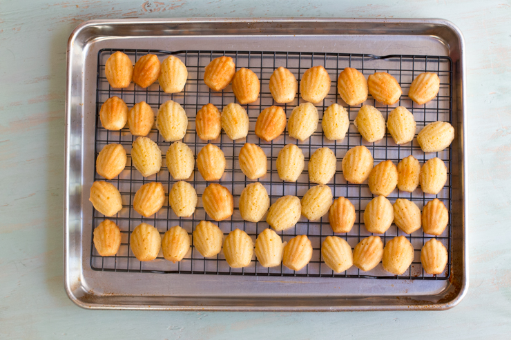 ArnoldPalmerMadeleines-27