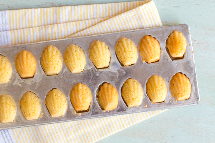 ArnoldPalmerMadeleines-28