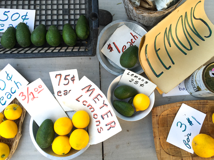 I used these beautiful Meyer lemons that I purchased while the hubs and I walked Pixel through our neighborhood. So lucky to live in this fairytale land.