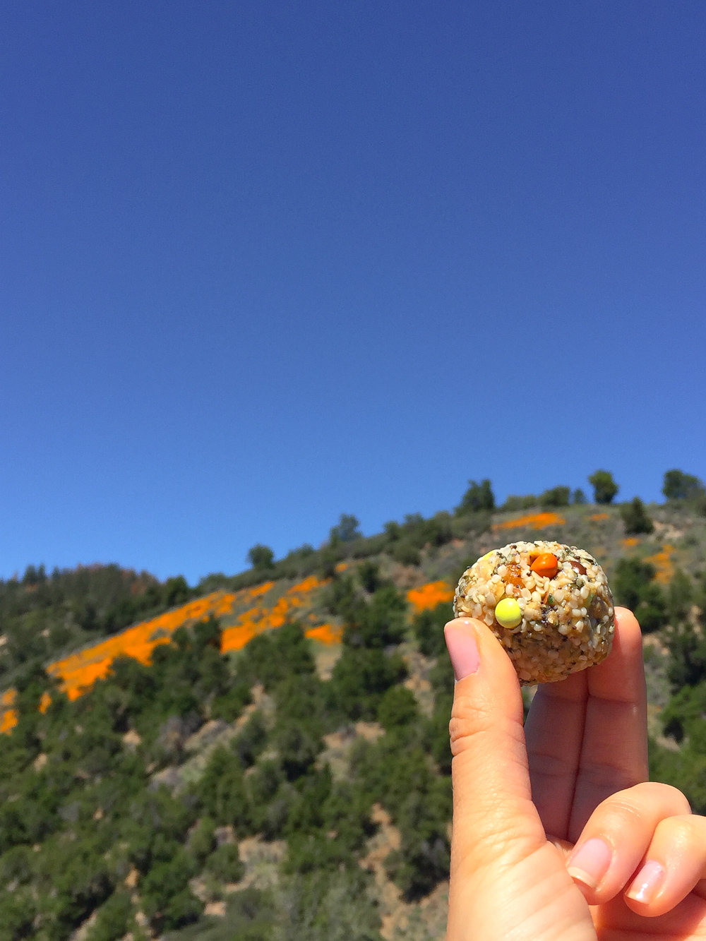 Poppin' a ball among the poppin' poppies