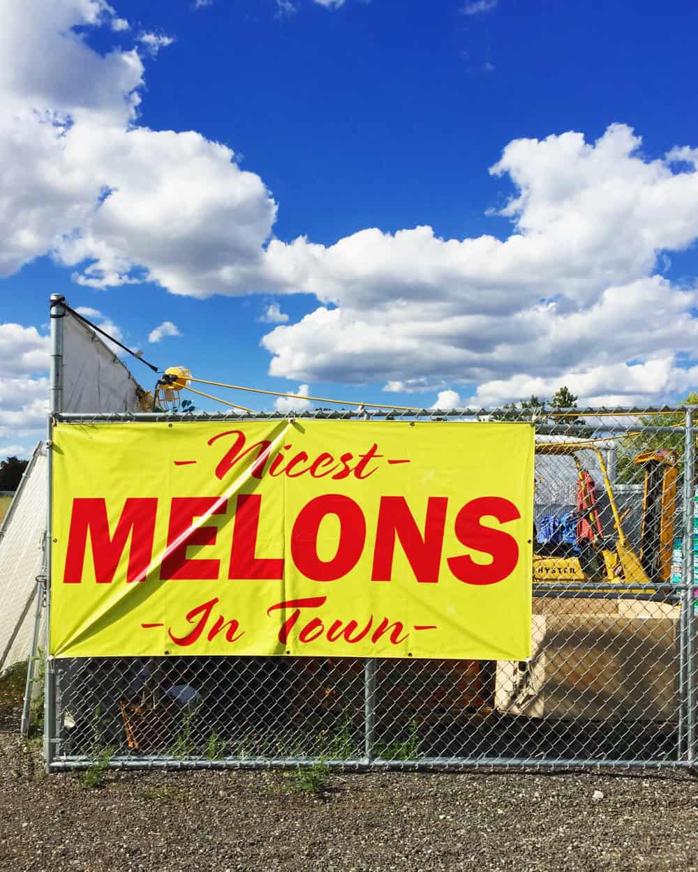 The Fruit Girl in Spokane Valley