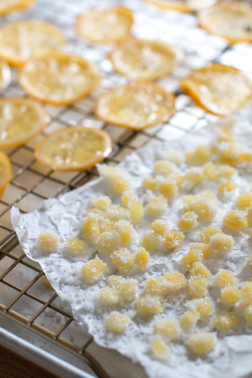 candied meyer lemon and ginger