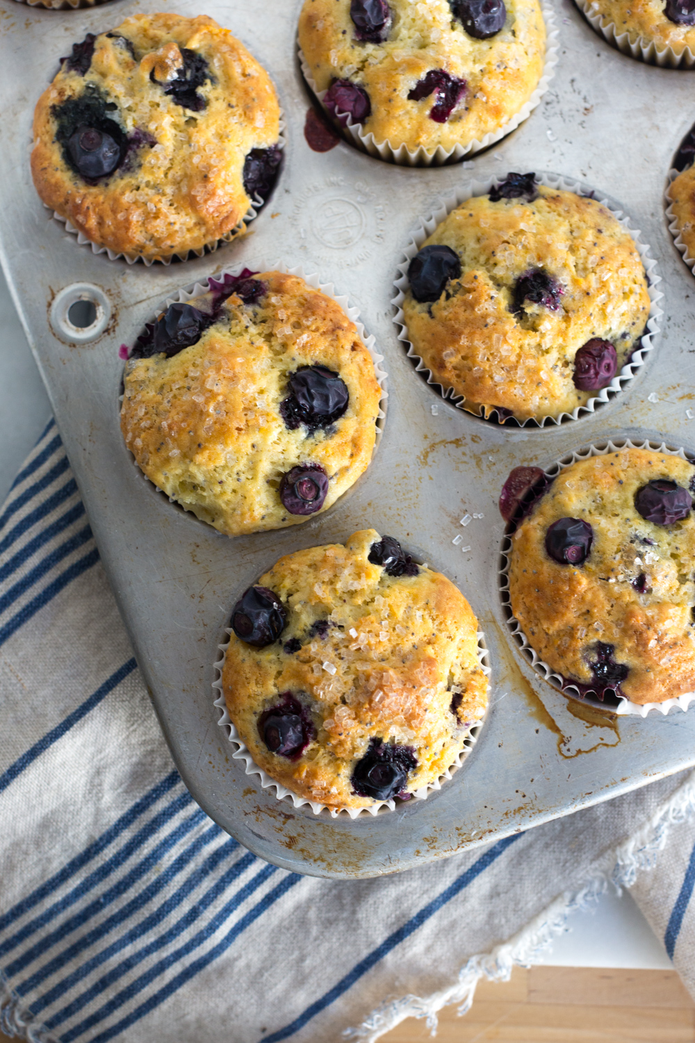 Blueberry Lemon Poppy Seed Muffins fresh from the oven.