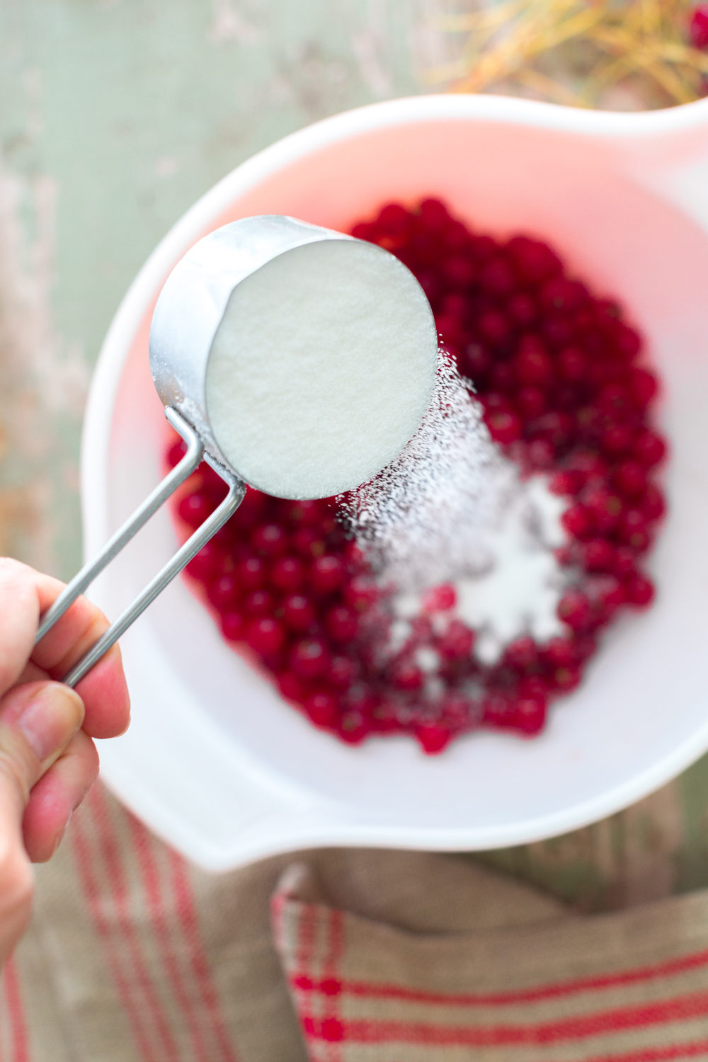 Sugaring red currants.