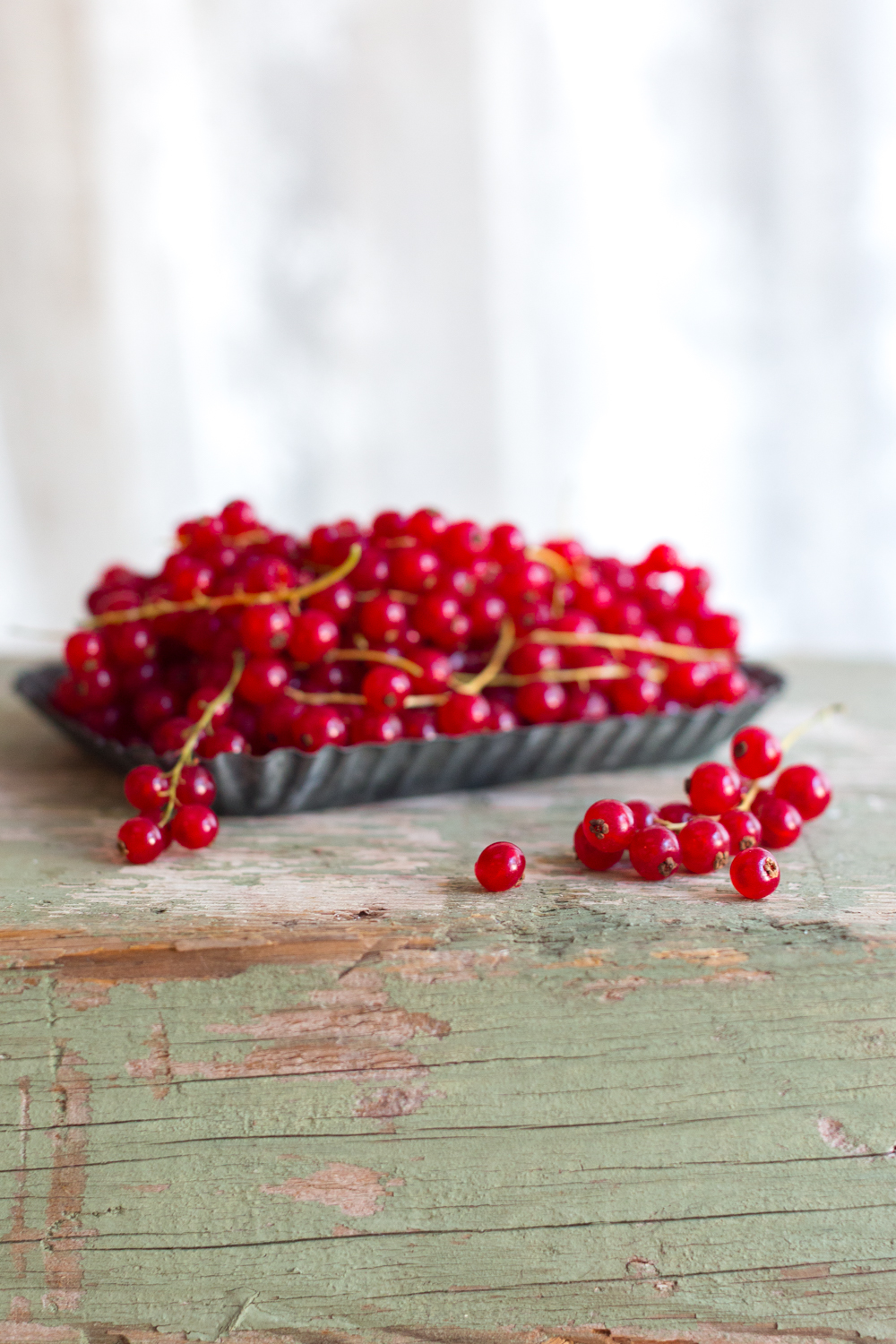 red currants