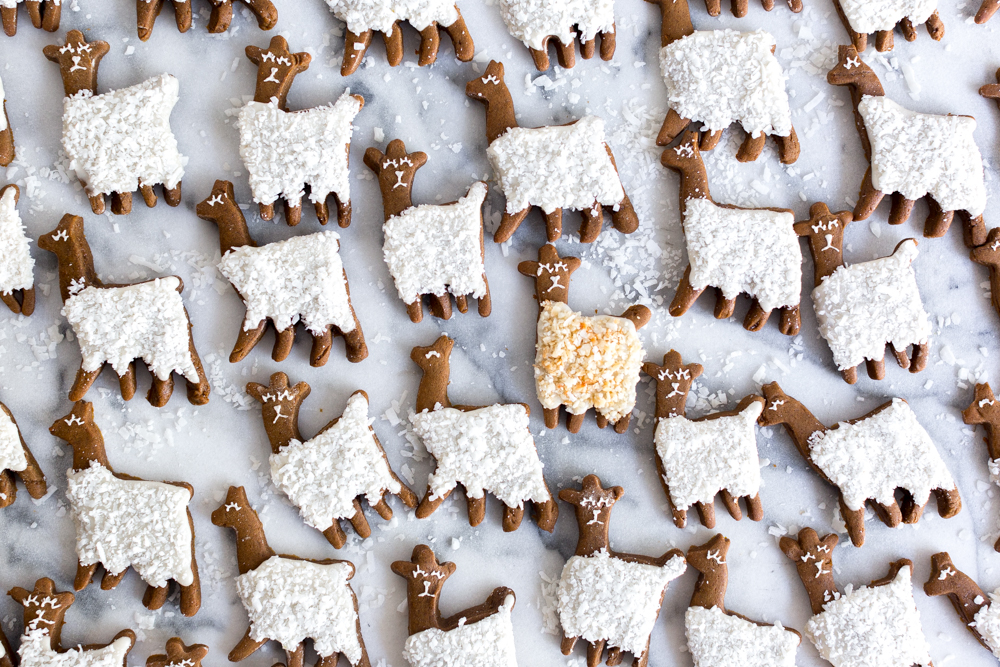 Gingerbread Coconut Llama Cookies - black sheep