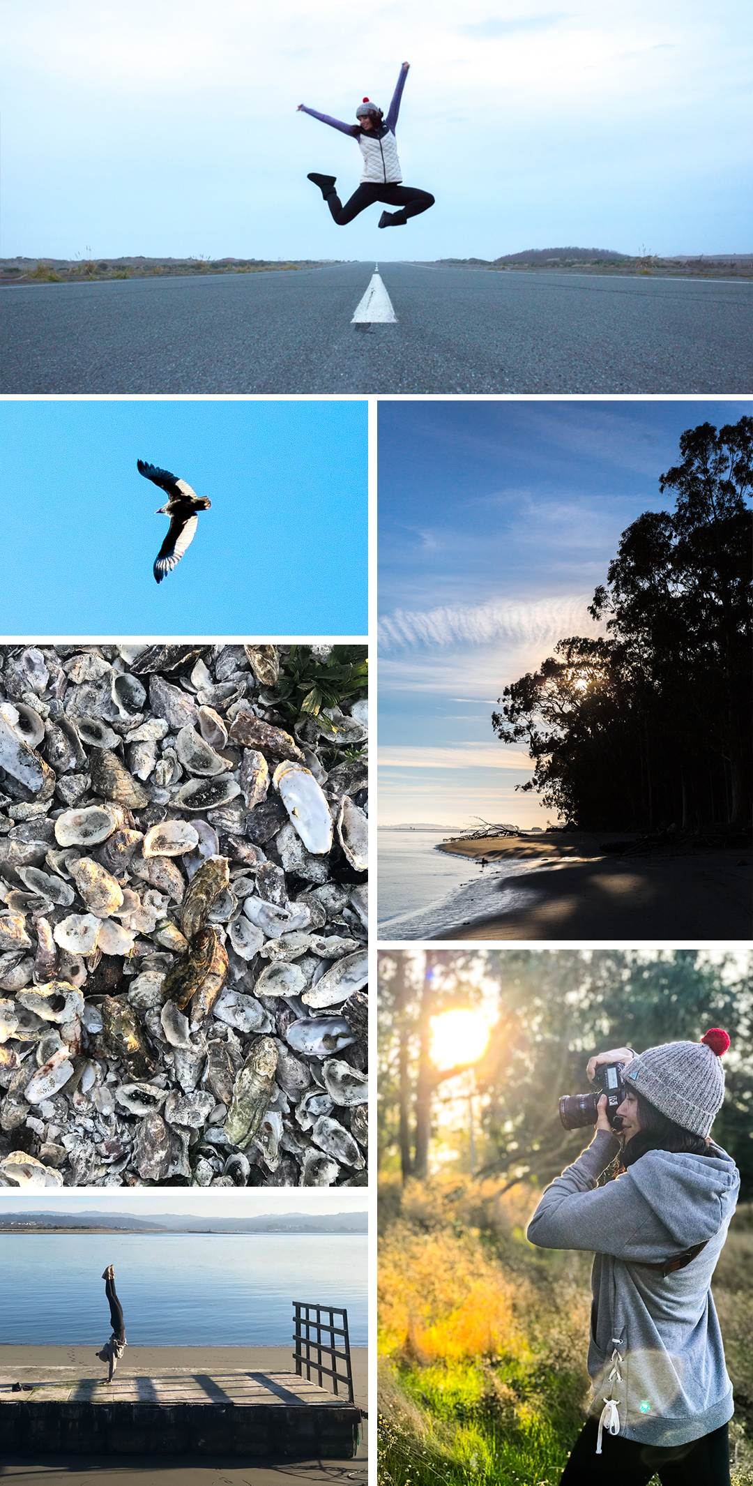 Humboldt Bay Social Club Grounds by Baking The Goods