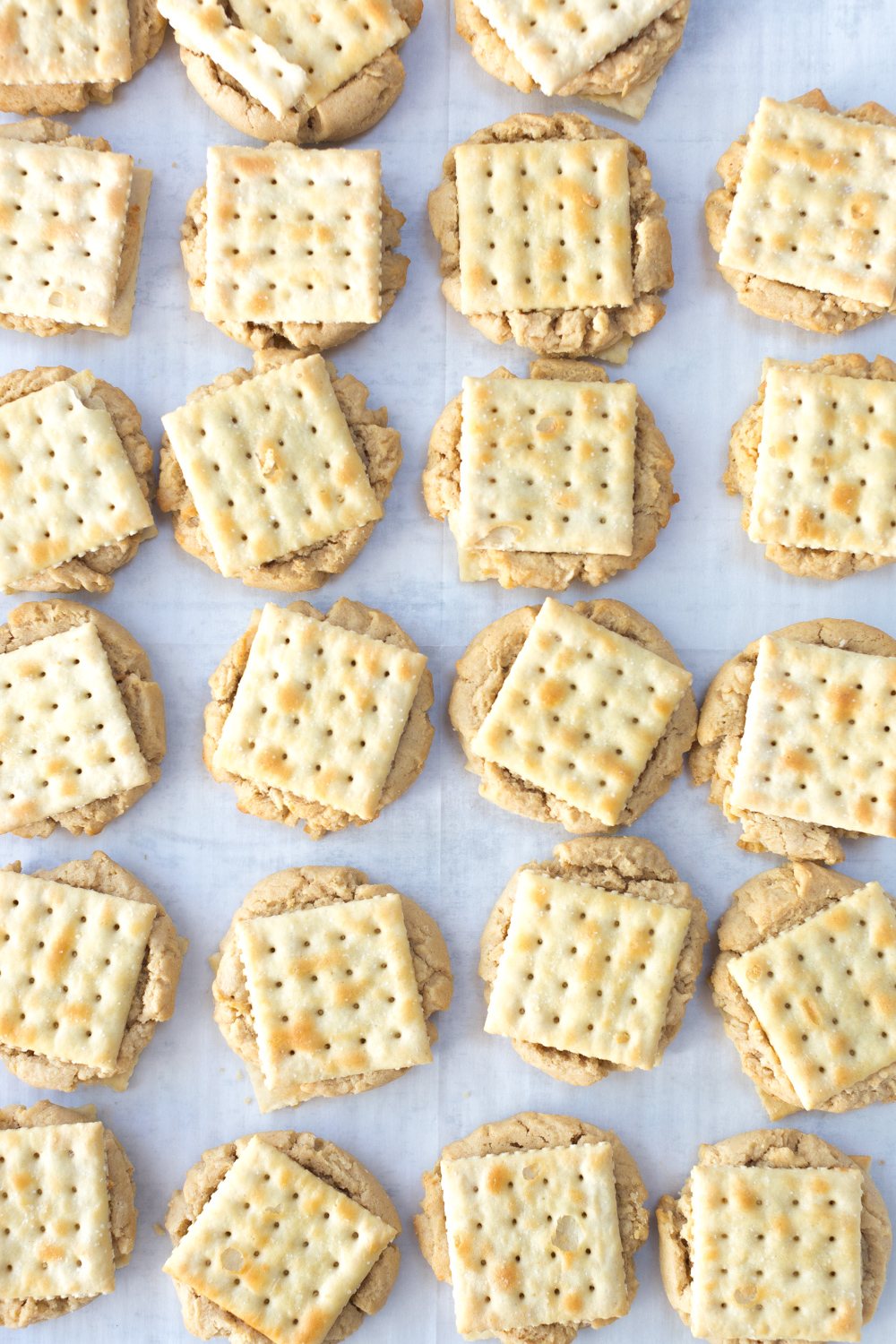 Rows of Saltine Peanut Butter Cookies