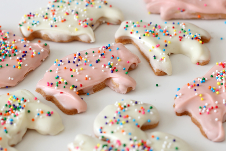 Animal Cookies Close Up