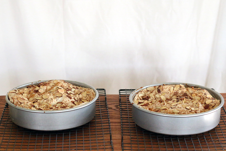 Berry Blitz Torte Cooling