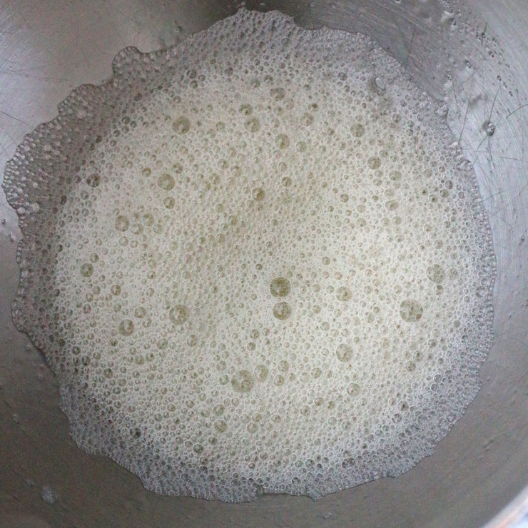 Berry Blitz Torte Foam