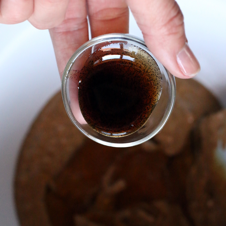 vanilla bean paste in energy balls