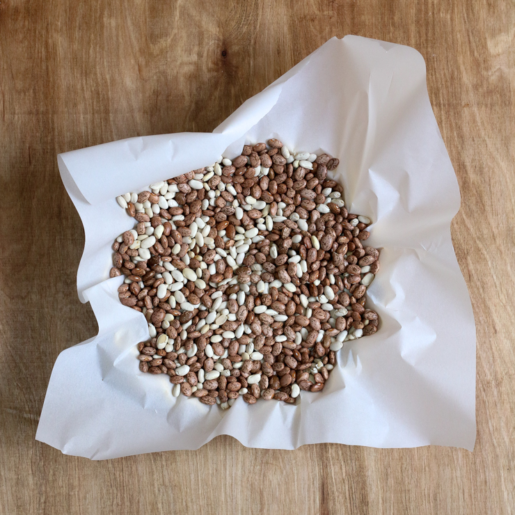 pie shell filled with beans for blind baking