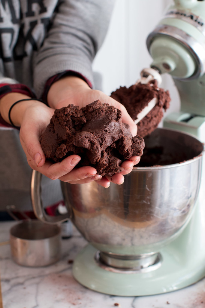Chocolate Mocha Cookie Dough