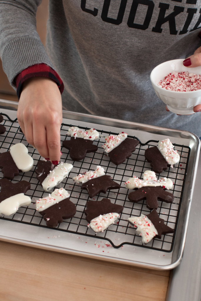 Sprinkle Peppermint candy cane on Mocha Cookies
