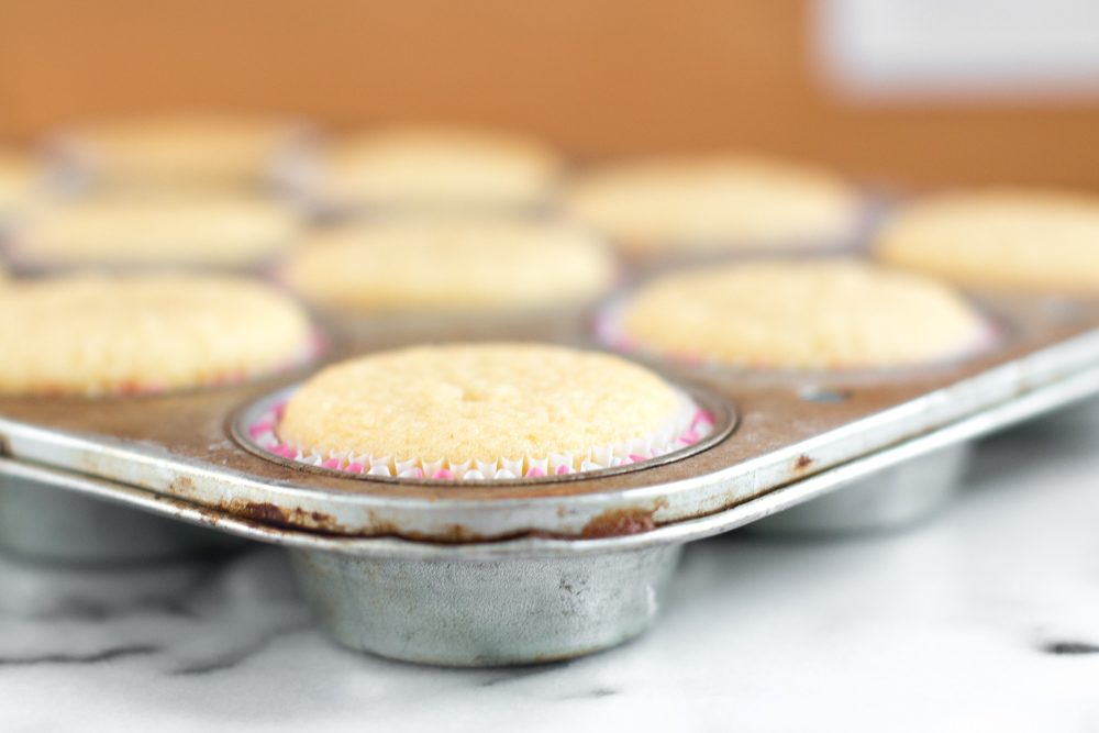 a close up of a shot of baked cupcakes just out of the oven