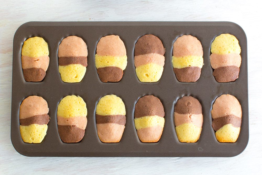 Cooling Neapolitan Madeleines
