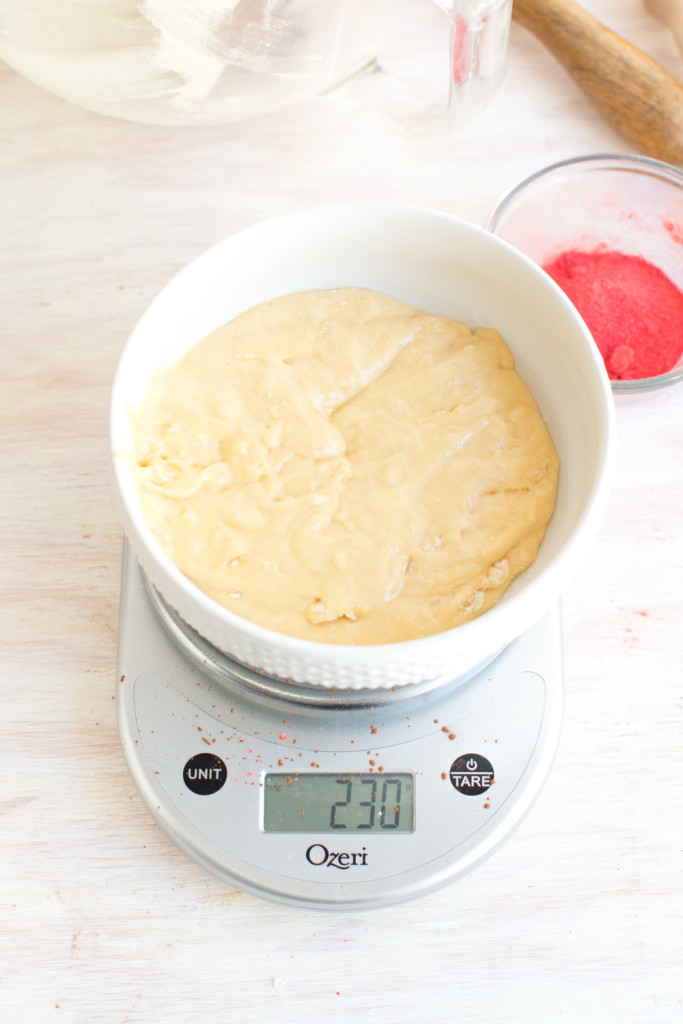 vanilla madeleine batter