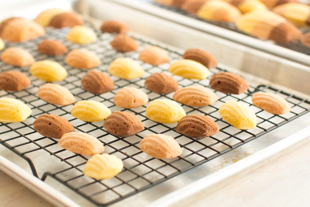 Neapolitan Mini Madeleines