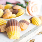 Neapolitan Madeleine