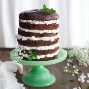 Mint Chocolate Cake