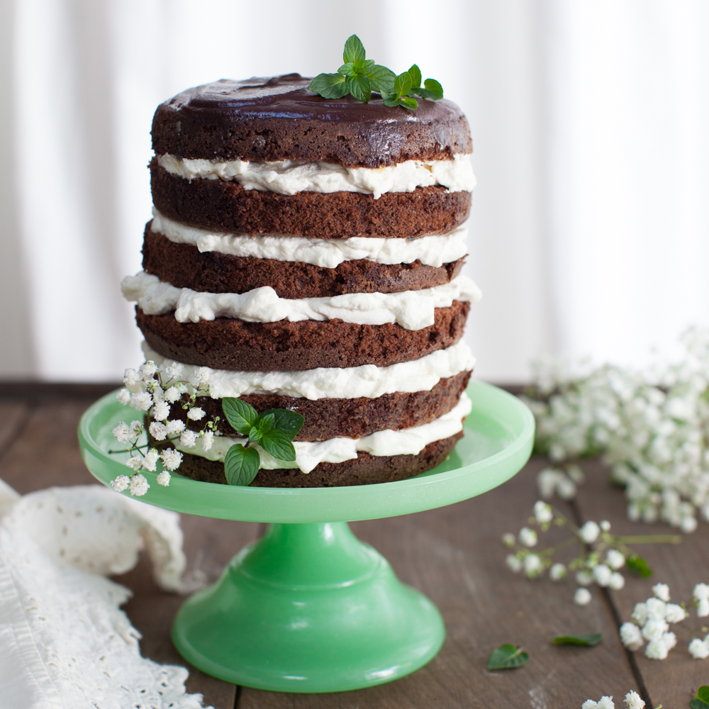 Mint Chocolate Cake