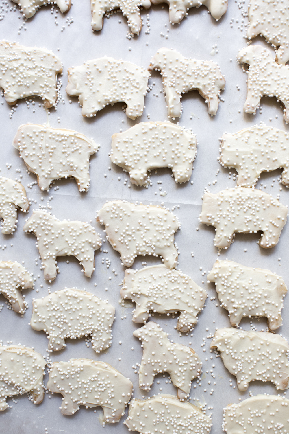 White frosted animal cookies with white sprinkles