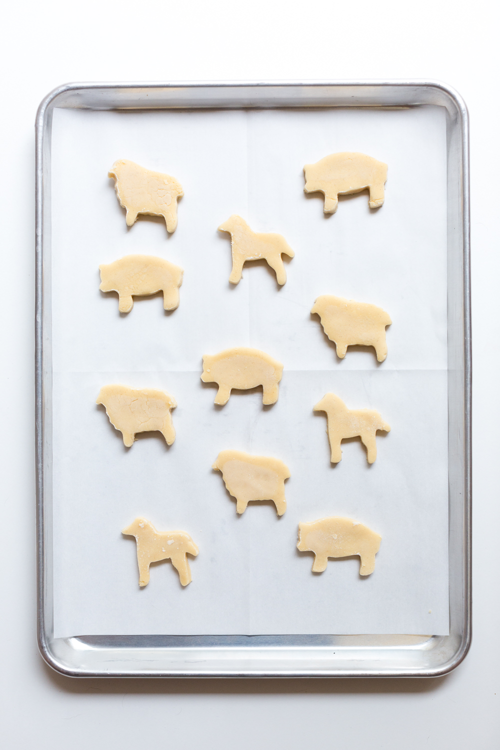 Animal Cookies pre-bake