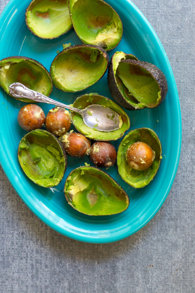 Avocado skins and pits.