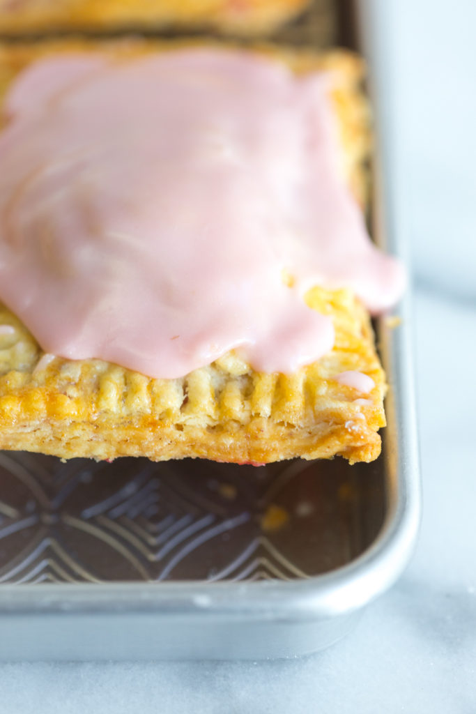 Edge of Raspberry Rhubarb Pink Peppercorn Hand Pie