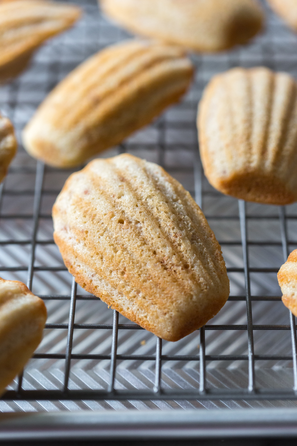 Rose Rosé Madeleines cooling