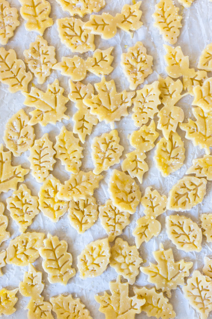 Gruyere pie dough leaves