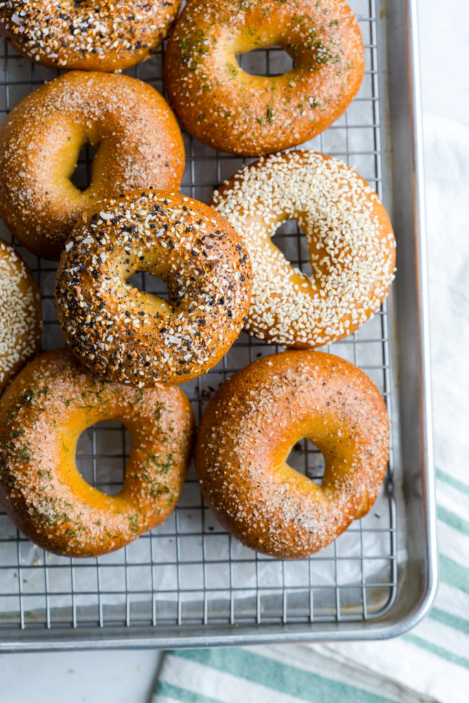 assorted bagels freshly baked and cooling on a baking sheet